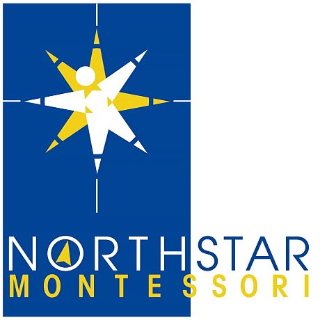 Northstar Aquatics Summer Camps Programmes School Information